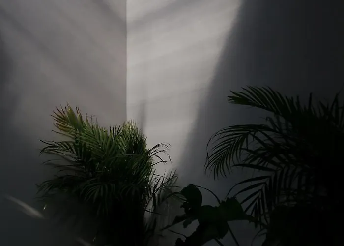 Grumolara & למזיה טרמה